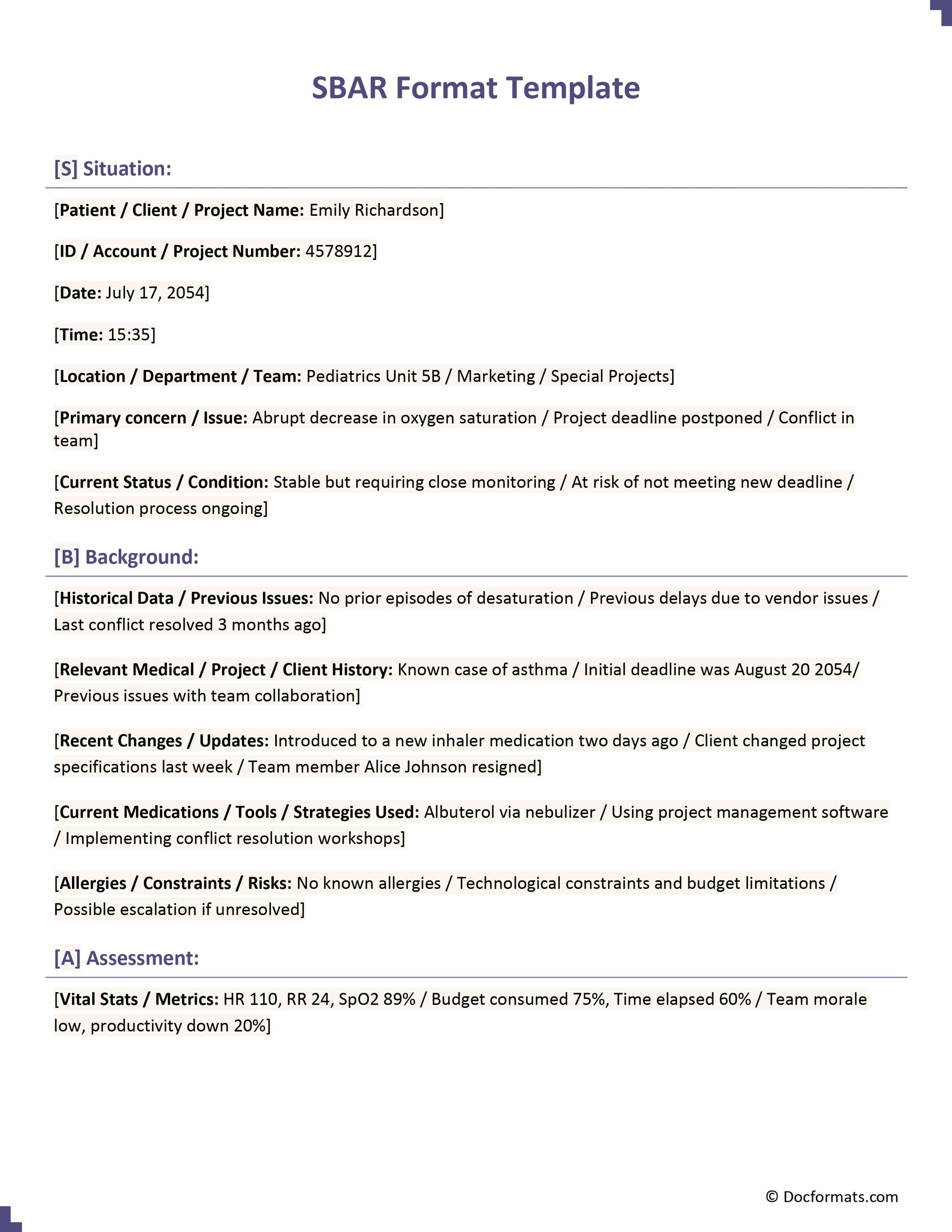 SBAR Format Template - Google Docs, Word