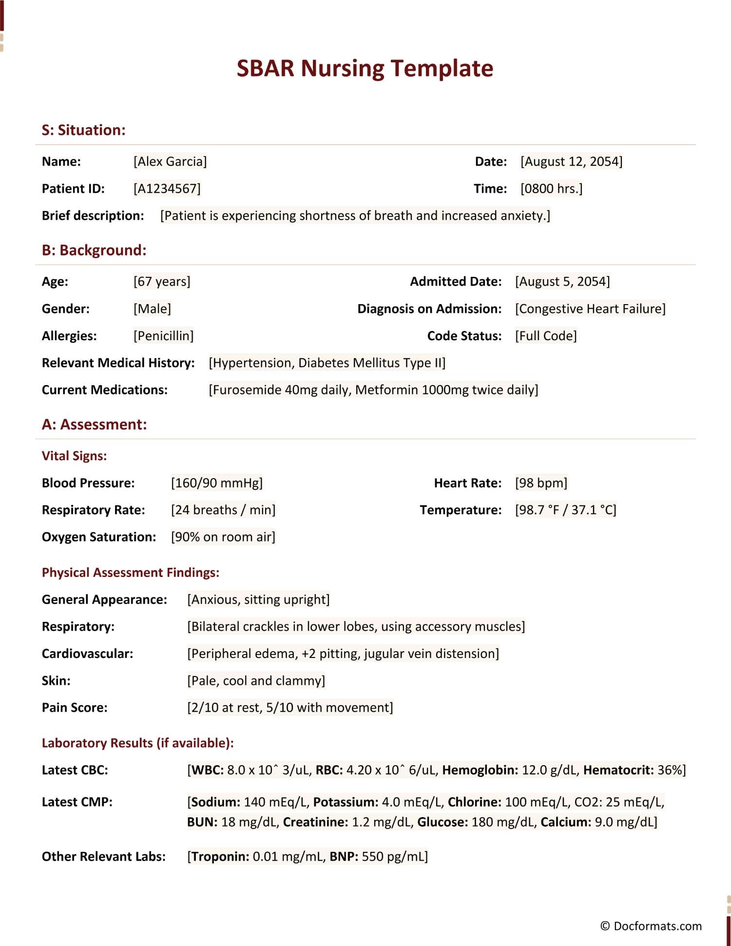 SBAR Nursing Template - Google Docs, Word