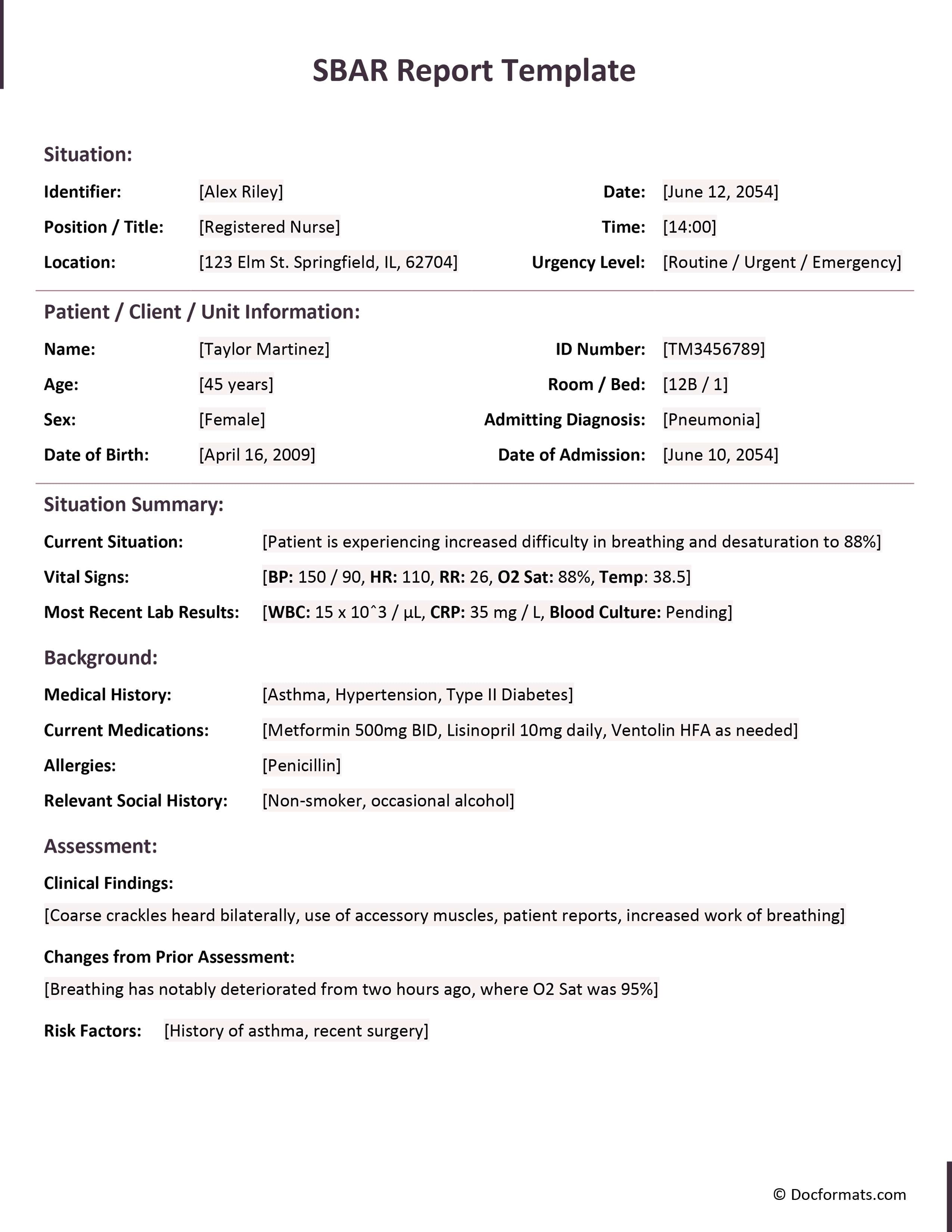 SBAR Report Template - Google Docs, Word